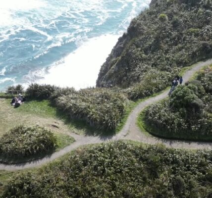 Piha Loop Track