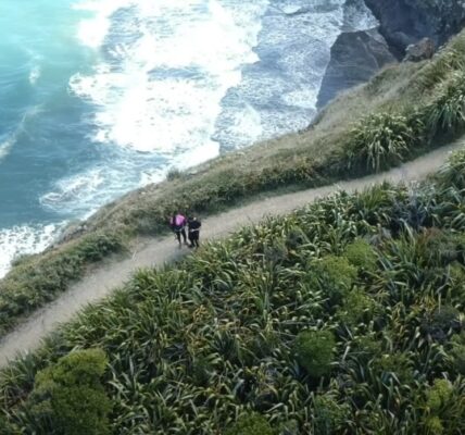 Mercer Bay Trail