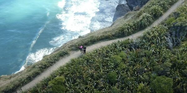 Mercer Bay Trail