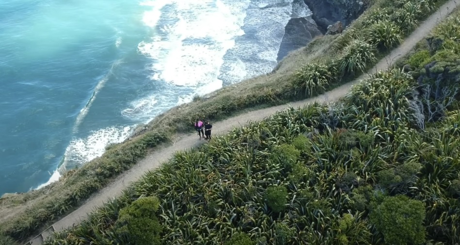 Mercer Bay Trail